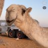 Profilbild von فهد العتيبي 🤍
