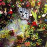 FreeThoughtKitty profil fotoğrafı