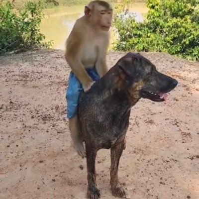 Jazon's profile picture