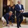 احرار الامه's profile picture