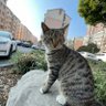 刘善仁 profil fotoğrafı