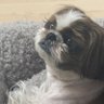 여유로운단추 profil fotoğrafı