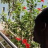 DARK BOY's profile picture