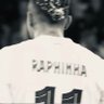 السيــد profil fotoğrafı