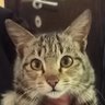 JR's profile picture