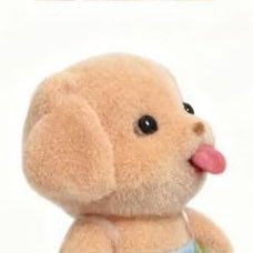춉's profile picture