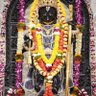 Фото профиля Laxman Prasad Sharma
