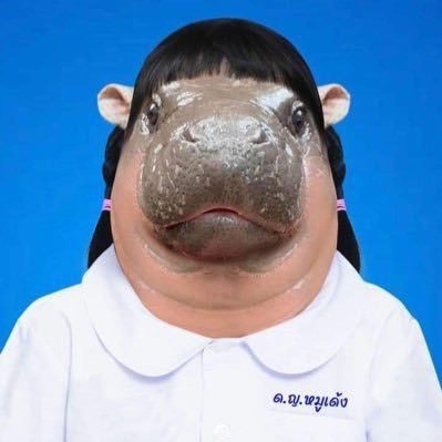 พาราแมว (สาขา2)'s profile picture