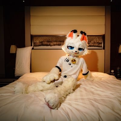 狐狸摆烂了's profile picture
