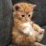 NotsoBad's profile picture