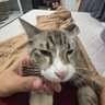 Simpanan pejabat's profile picture