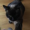 c0nwayTwitty's profile picture
