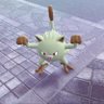 Cavebird's profile picture