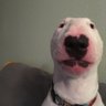 unnko nnn's profile picture