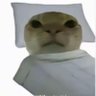 猎马人 的头像