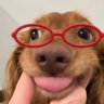Profilbild von Loveguin