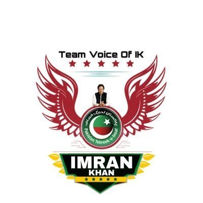Shabbir Hussain's profile picture