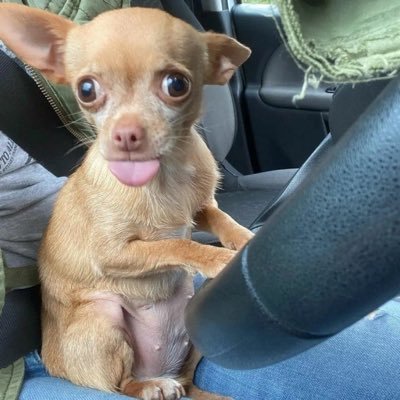 ddssaajjkk's profile picture