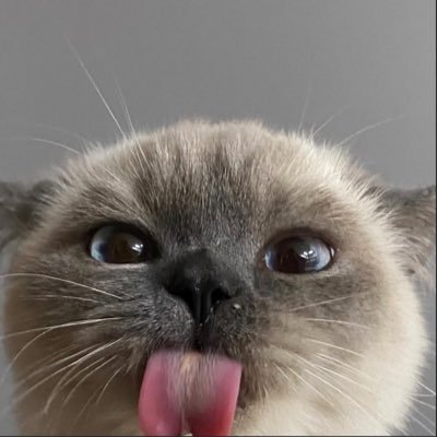 thisispxwer's profile picture