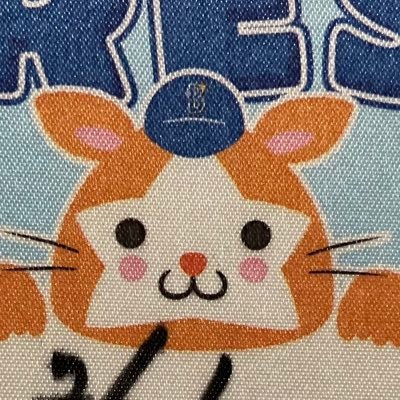 ベイスターズ担当＠神奈川新聞's profile picture