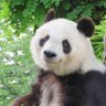 Profilbild von buzun