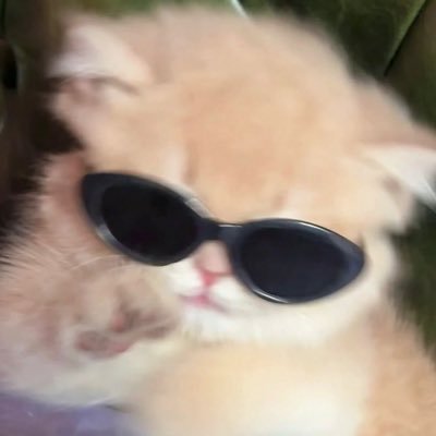 ⋆˙⟡🌻ชะนีขี้มโน🐱ྀི's profile picture