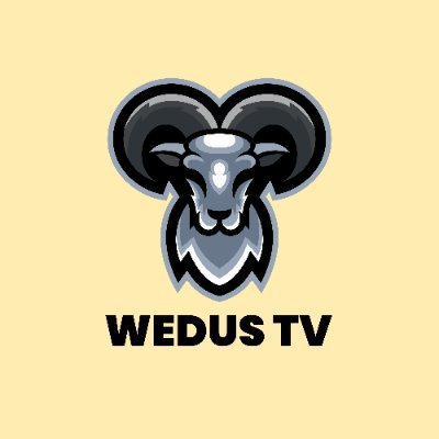 WedusTv's profile picture
