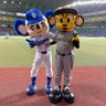 Profilbild von あき阪神ファン
