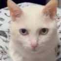 keywhysgzat's profile picture