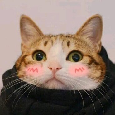 99daxiozhao's profile picture
