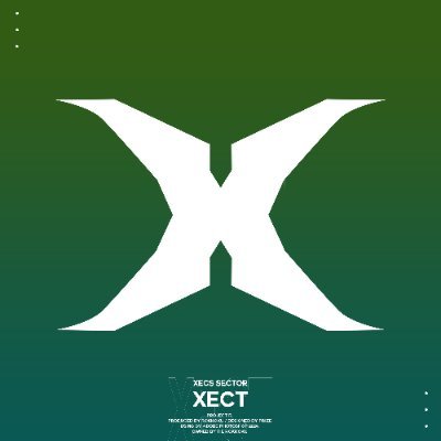 XECS_SECTOR's profile picture