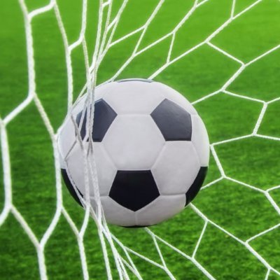 Anlık Goller's profile picture
