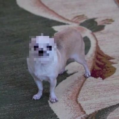 fakhivchinya ✨'s profile picture