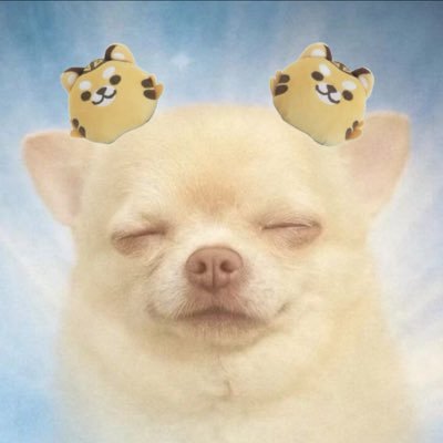 alex𓂀 '//,'s profile picture
