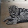 Profilbild von 猫界
