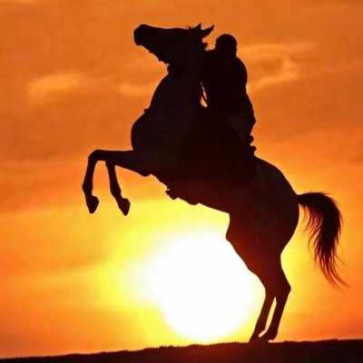 🇸🇦العُقاب🦅's profile picture