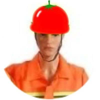 ์์ ์ ์ผ's profile picture