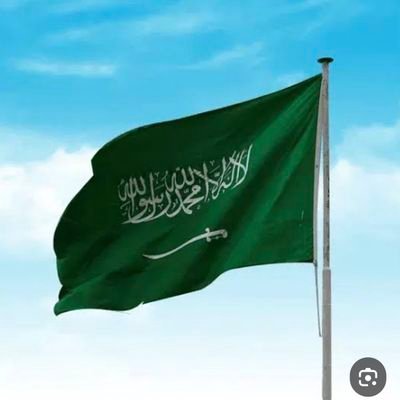 بنت غامد 🇸🇦's profile picture