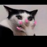 Ss's profile picture