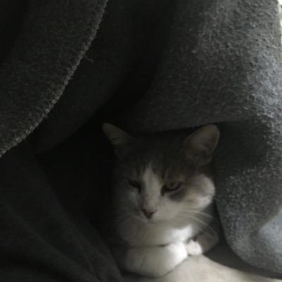 王庆民's profile picture