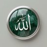 huseein ali's profile picture
