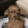 Allastrop23's profile picture