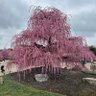 Фото профиля Ji ro