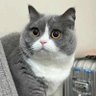 Profilbild von benny