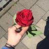 Profilbild von So