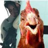 Lord Cypher 🐓 profil fotoğrafı