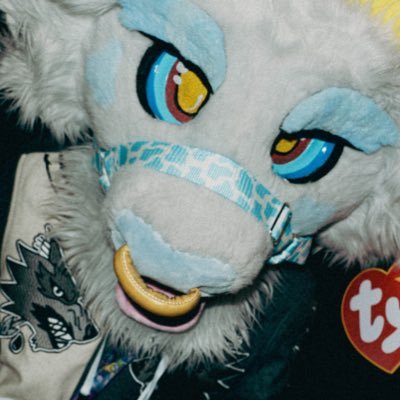 SoJuCow ➡️FWA's profile picture
