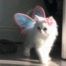 sadece insan's profile picture
