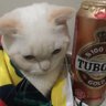 oulcan 的头像