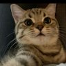 Profilbild von 一个俗人